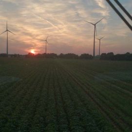 Sonnenuntergang über Feld